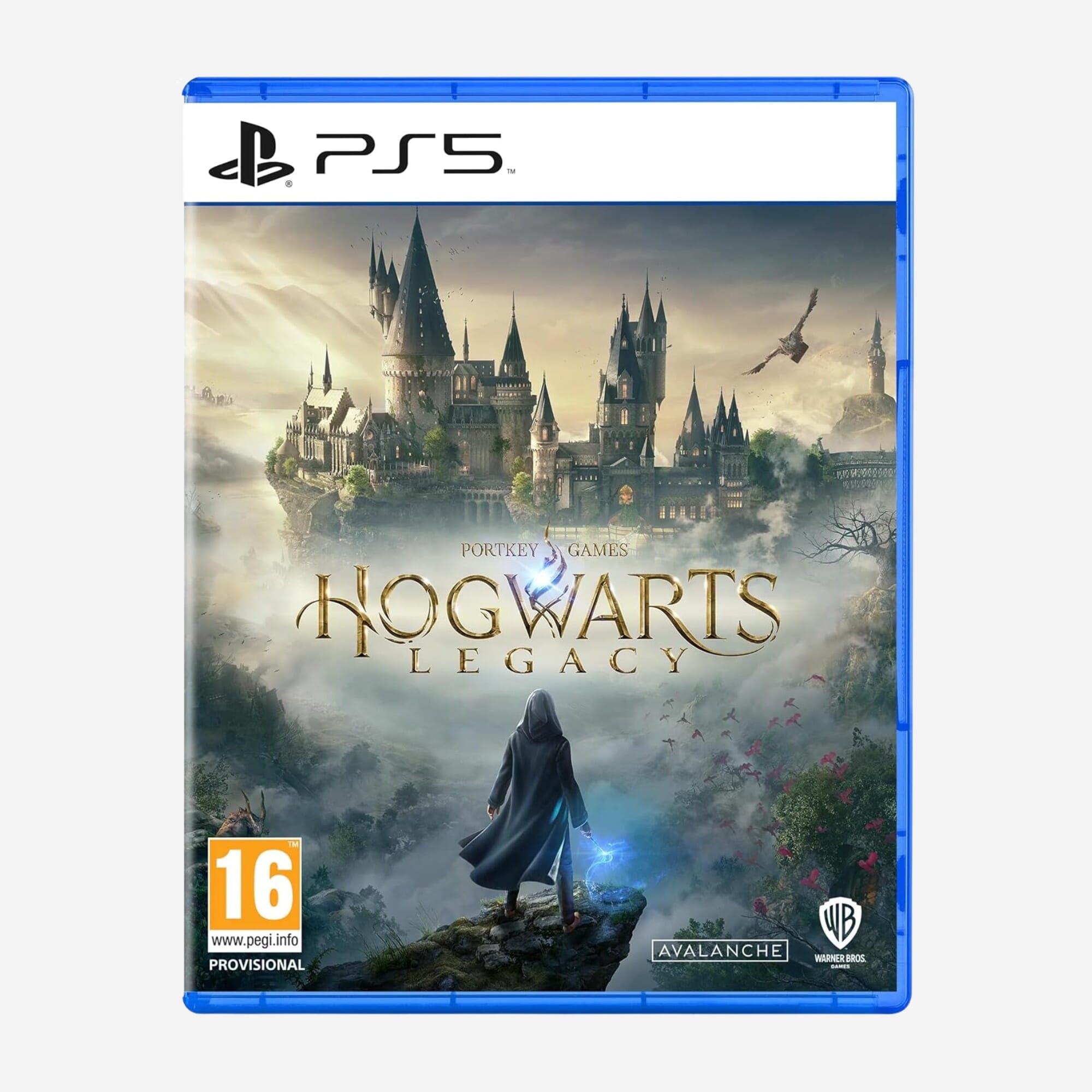 Hogwarts Legacy (PS5)