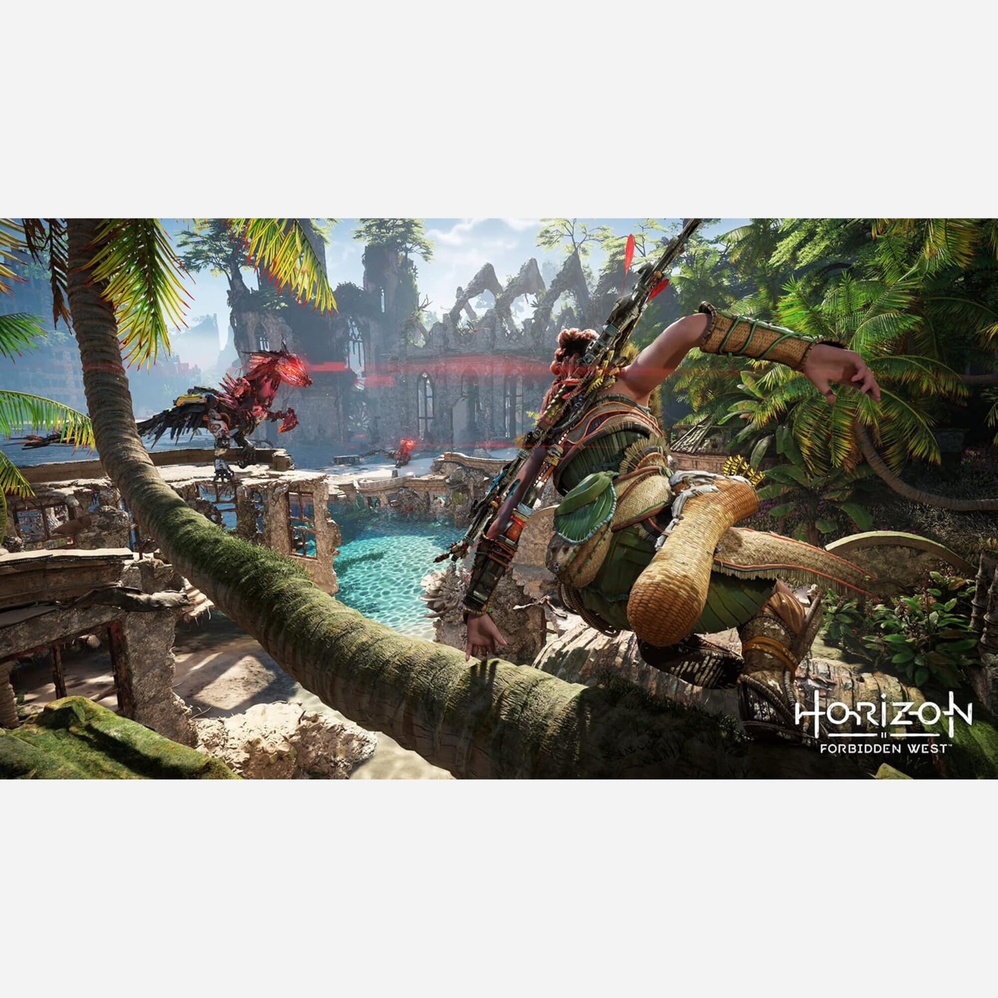 ps5 horizon forbidden west 同梱版