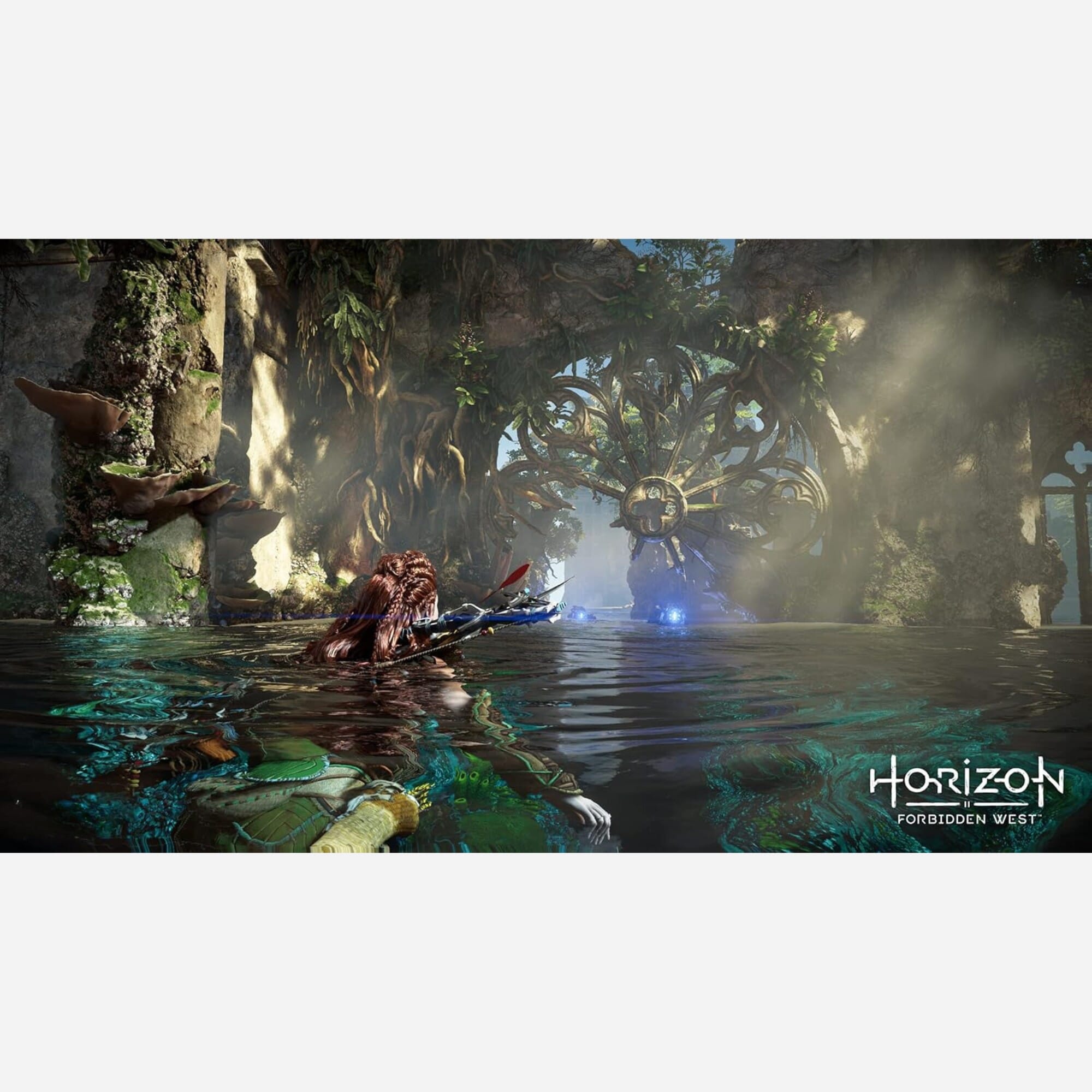PlayStation 5 Horizon Forbidden West 同梱版（I made concept
