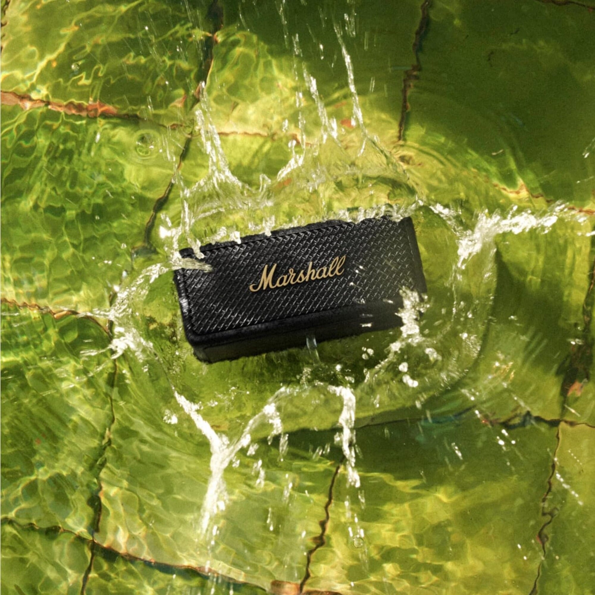 Marshall Middleton (Black & Brass)