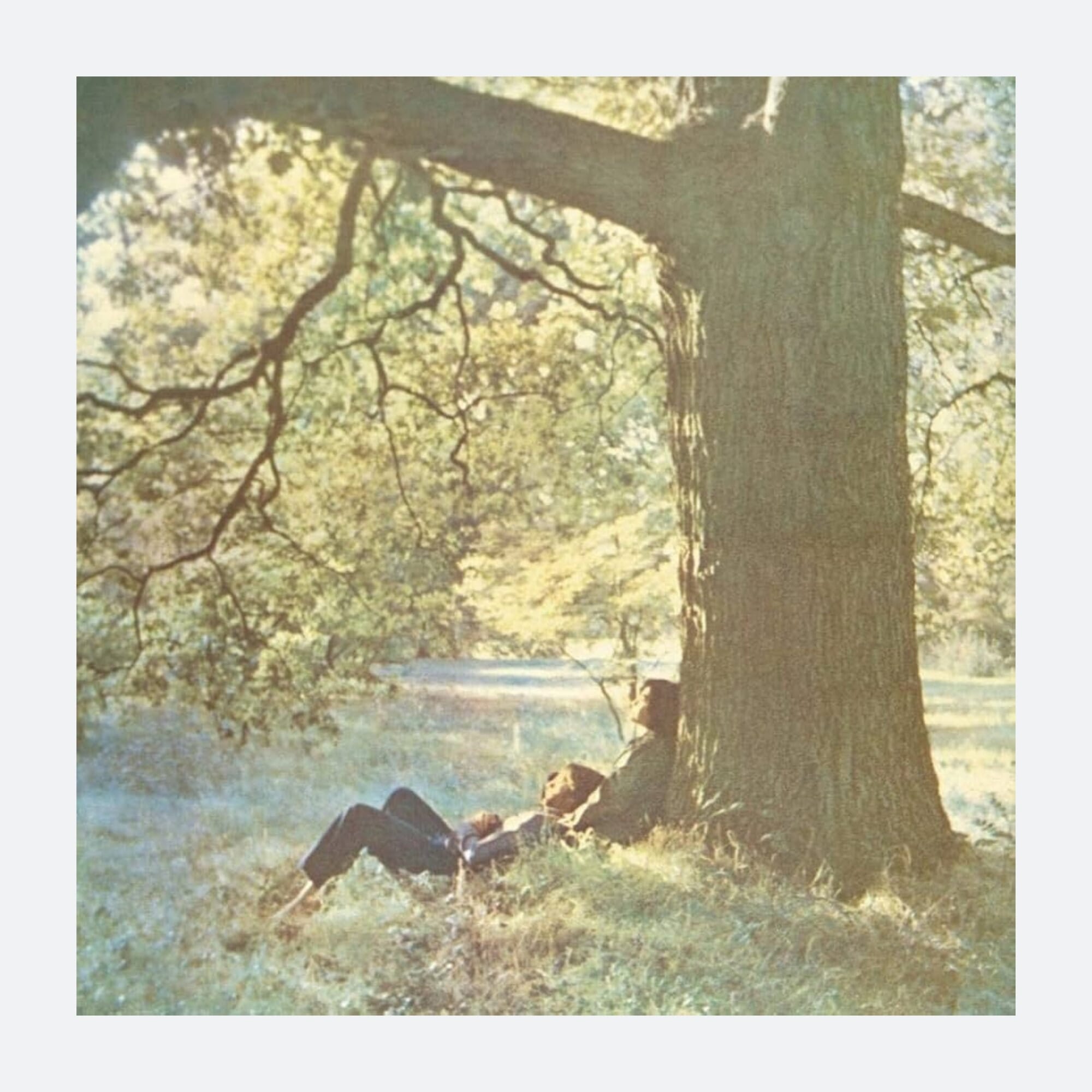 Buy Plastic Ono Band | Smart Home Sounds