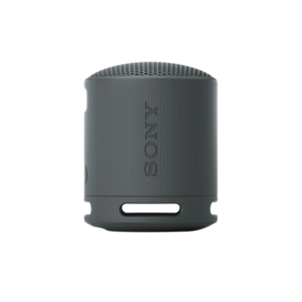 Sony SRS-XB100 (Black)