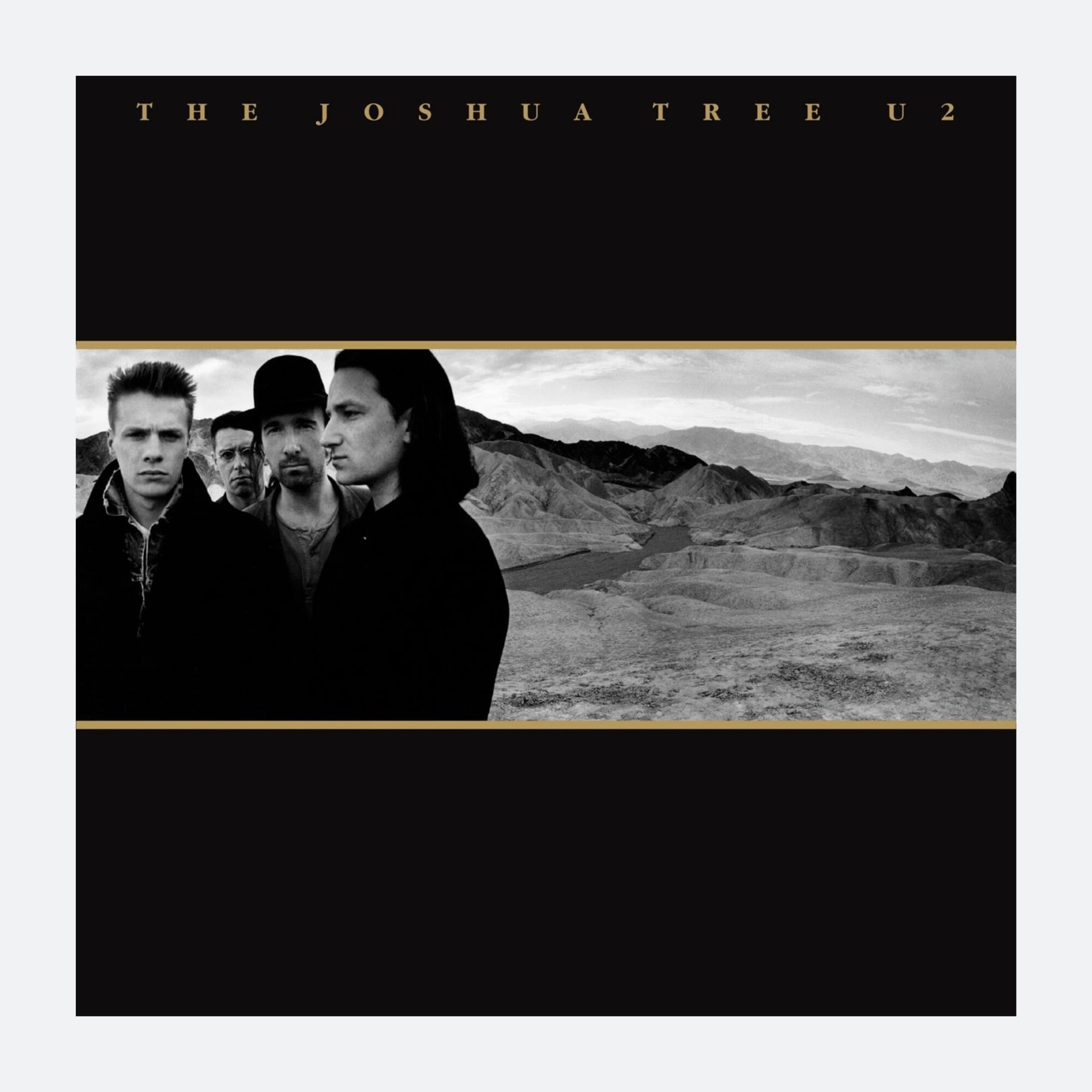 Buy The Joshua Tree | Smart Home Sounds