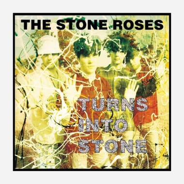 Turns into Stone Turns into Stone