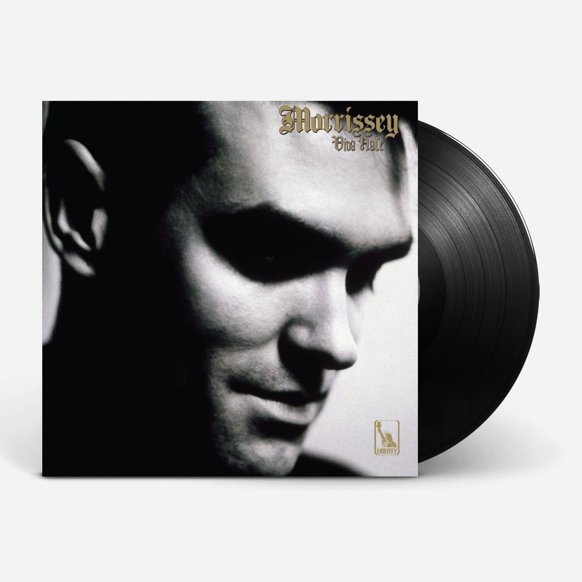 Buy Viva Hate | Smart Home Sounds