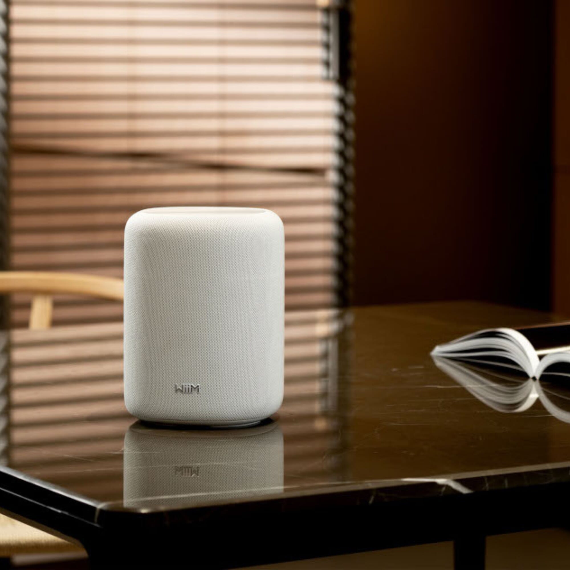 WiiM Sound Lite