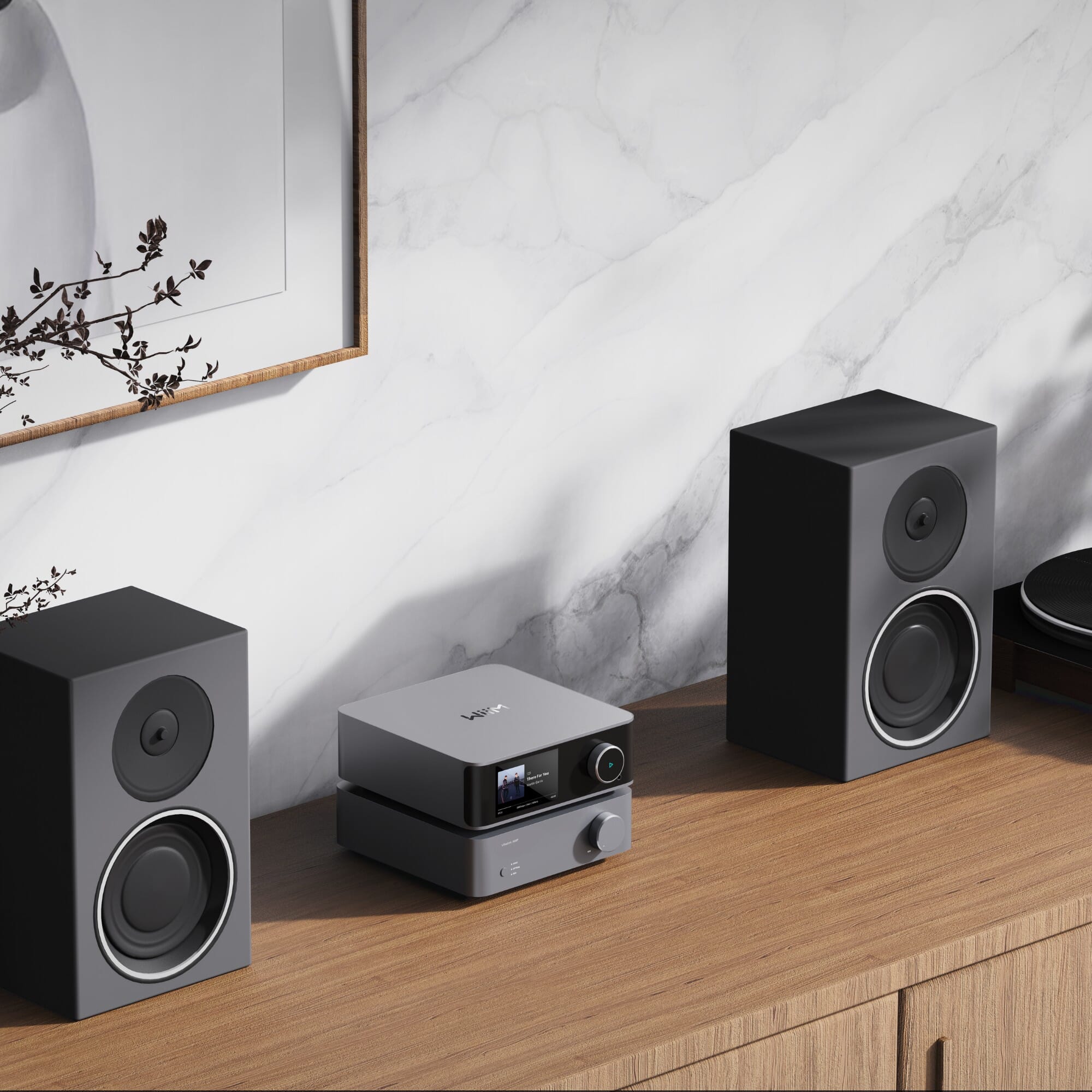 WiiM Vibelink Amp & WiiM Ultra