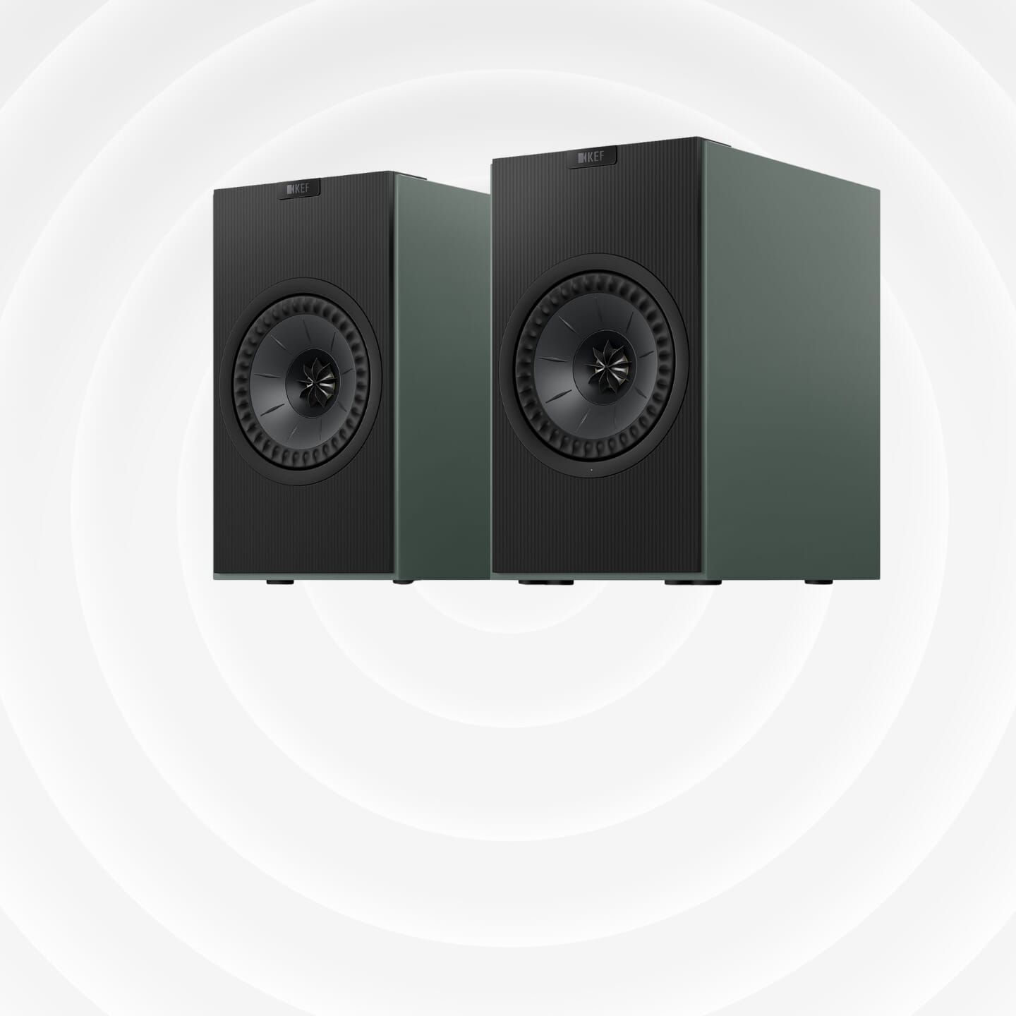 Discover new favourites for the new year.