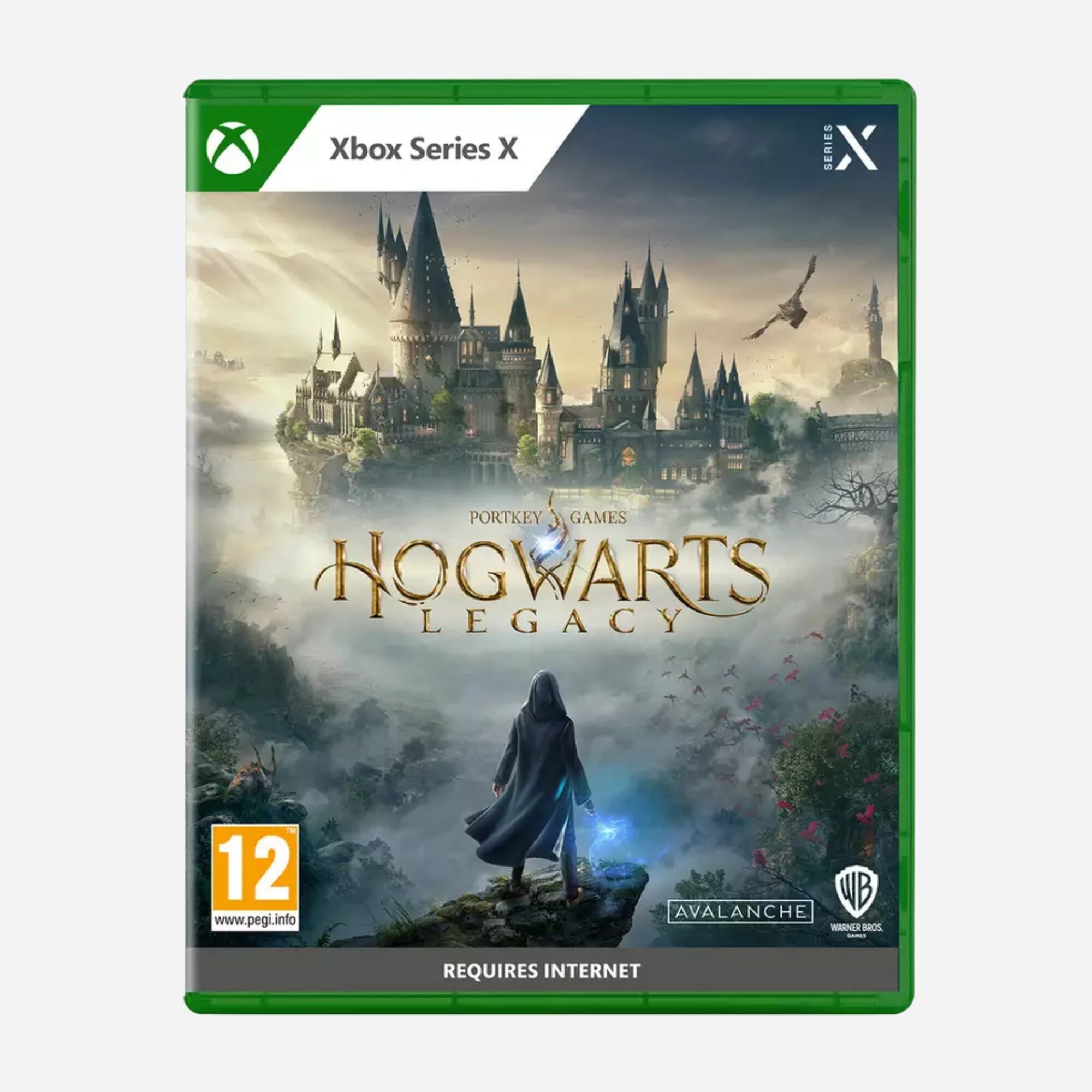 Hogwarts Legacy (Xbox Series X)