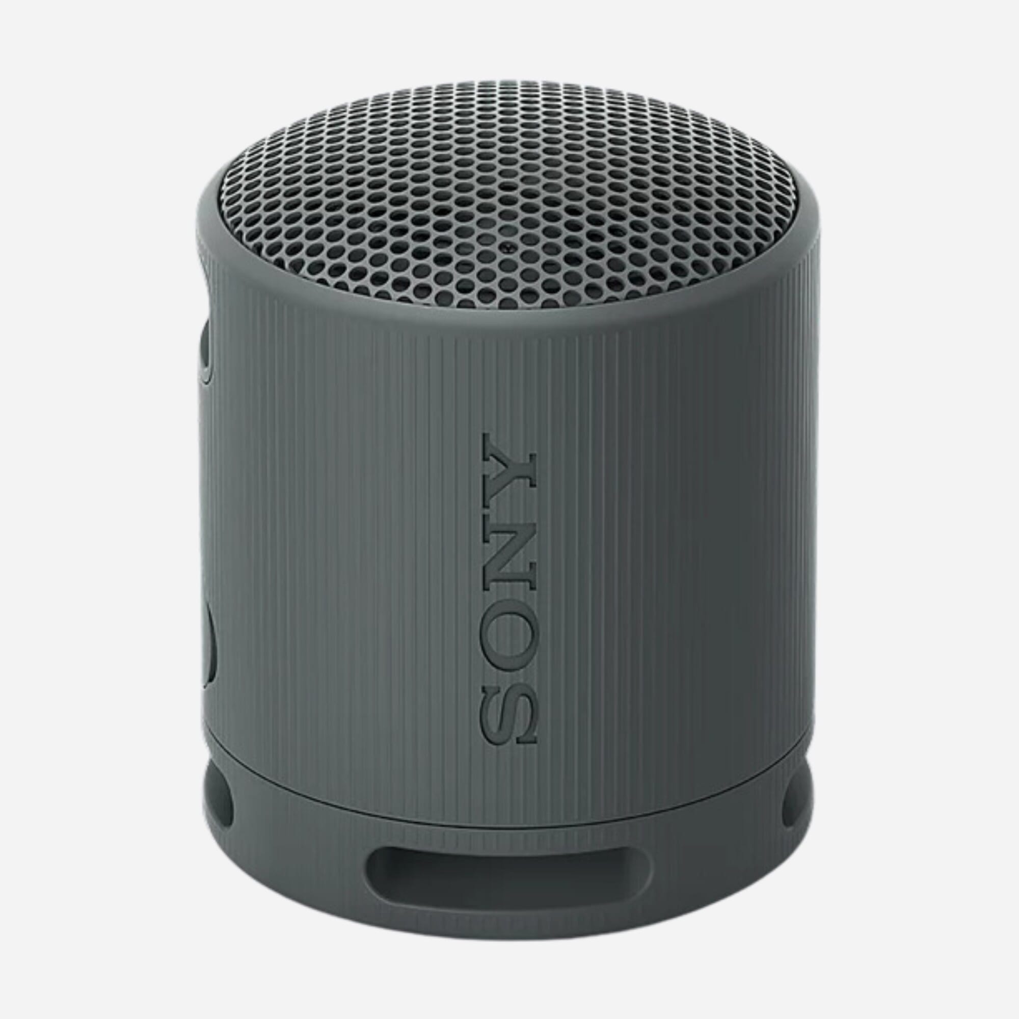 Sony&#x20;SRS-XB100